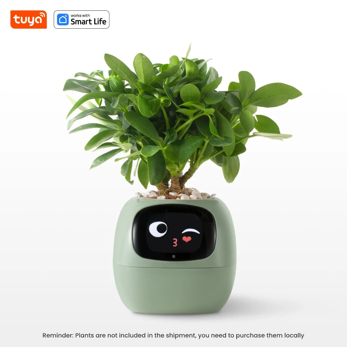 Alivegotchi™ - AI Smart Planter